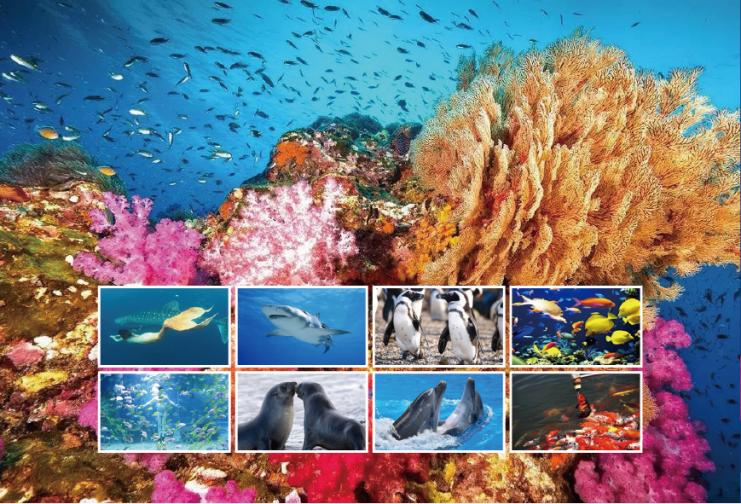 605835a654f76.png 605835a654f76.png