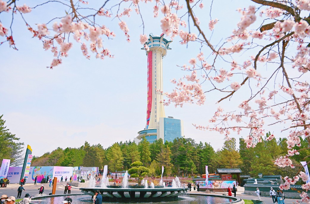 6812154964a3d.jpg 12.jpg